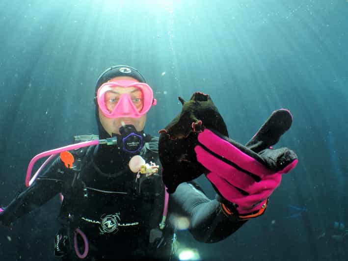 SSI Try Scuba Diving in the sea - Key highlights in plain terms
