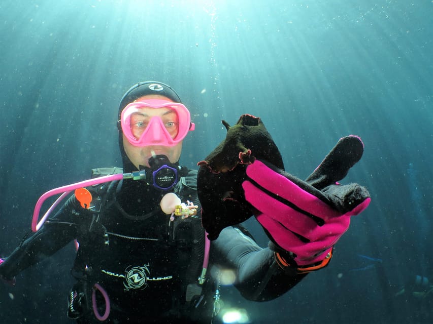 SSI Try Scuba Diving in the sea - Instruction you can actually understand: English and German