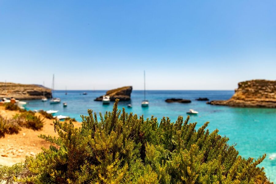 St Paul's Bay: Comino, Blue Lagoon, Gozo, & Caves Boat Tour - St Paul’s Island: last swim, the statue walk, and the calm finish