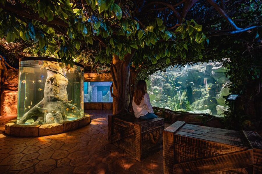 St Paul's Bay: Malta National Aquarium Entry Ticket - Key things I’d circle before you go