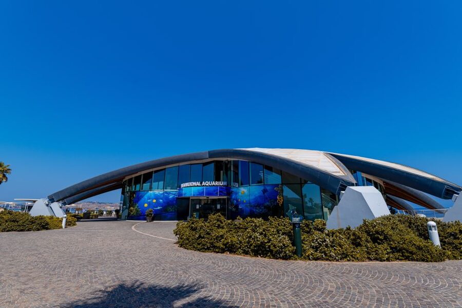 St Paul's Bay: Malta National Aquarium Entry Ticket - The main tank walk-through tunnel, where everything feels close