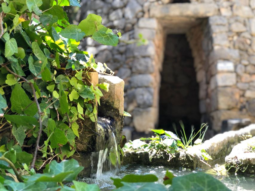 The Limestone Heritage Park and Gardens (Entry Ticket) - Key Highlights You Will Feel Immediately