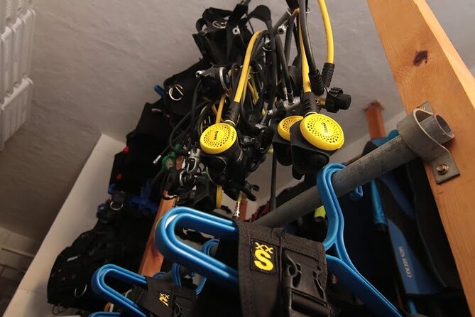 Two Morning Dives in Gozo for Certified Diver - Shore-based access to Gozo sites, and why it affects your morning