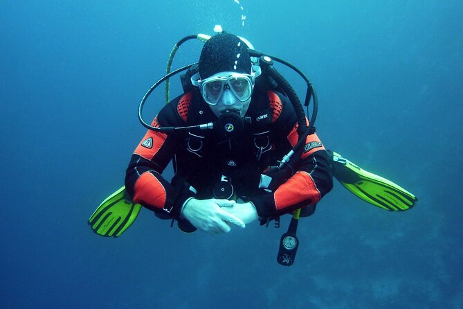 Two Morning Dives in Gozo for Certified Diver - Second session in the same Gozo area, plus logbook signing
