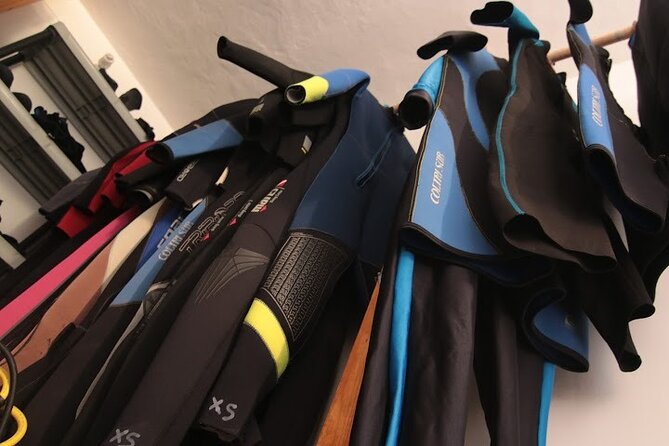 Two Morning Dives in Gozo for Certified Diver - Price and value: what $181.02 covers, and what costs extra