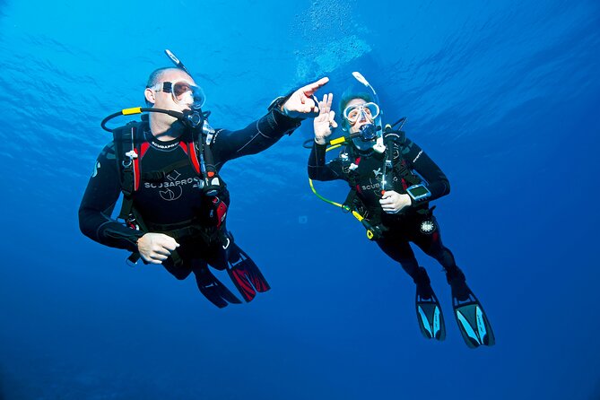 Two Morning Dives in Gozo for Certified Diver - Who should book this two-session Gozo scuba morning