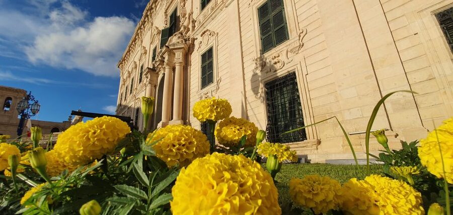 Valletta: Food Walking Tour with Tastings - Timing and Pace: 3.5 Hours That Add Up Fast