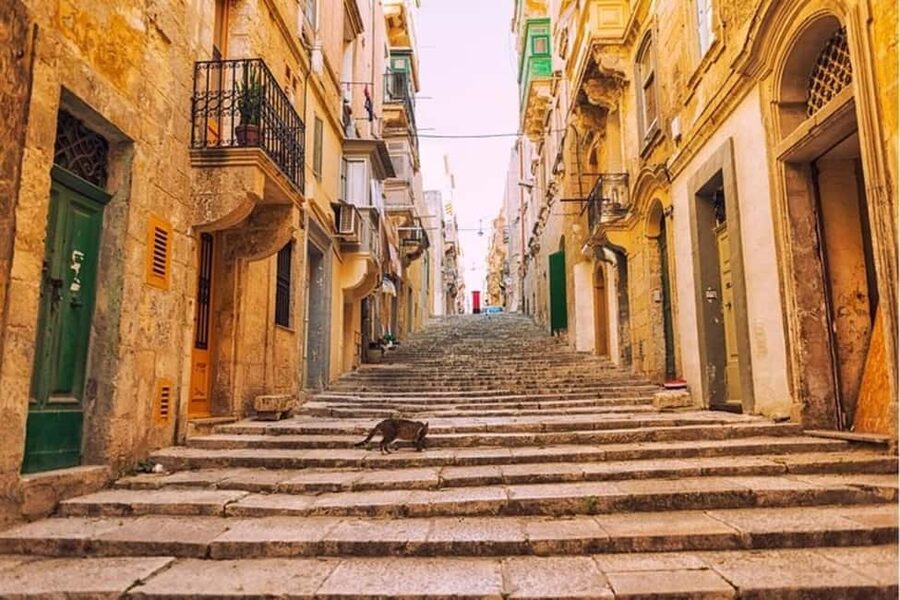 Valletta: Guided Walking Tour - Valletta Food Market: a quick intro to local life