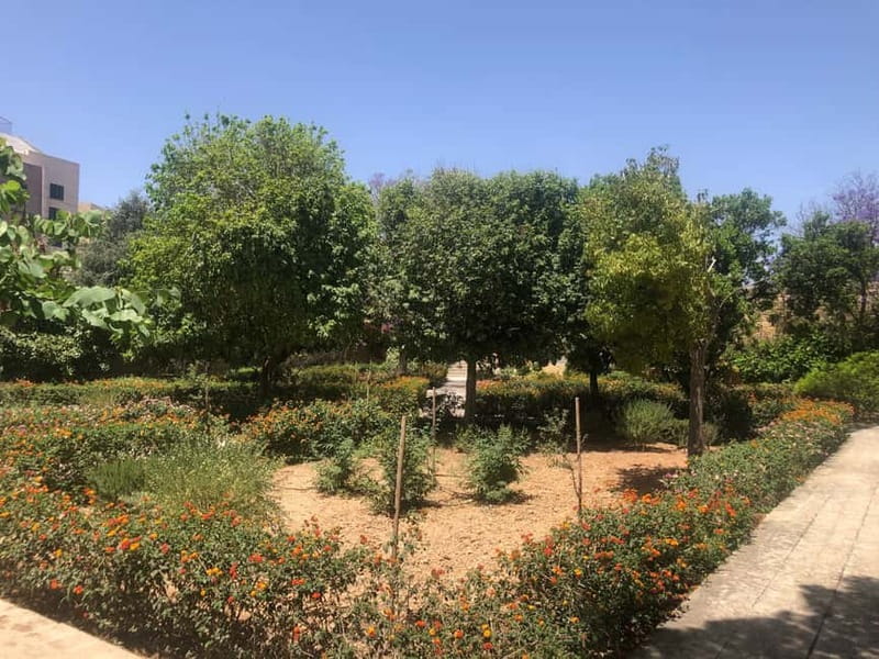 Visit Tarxien Temples, Kalanka Bay, Blue Grotto, Marsaxlokk - Pickup, Timing, and How to Stay in Control
